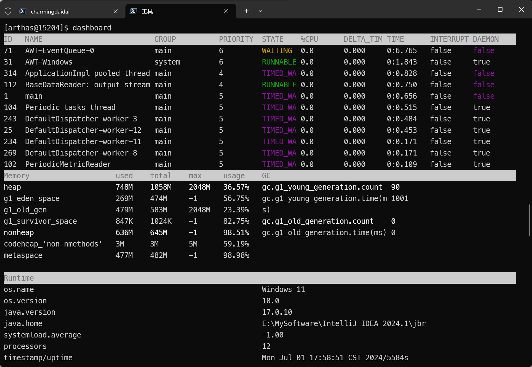 image-20240701175939798